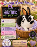 Mini Rex