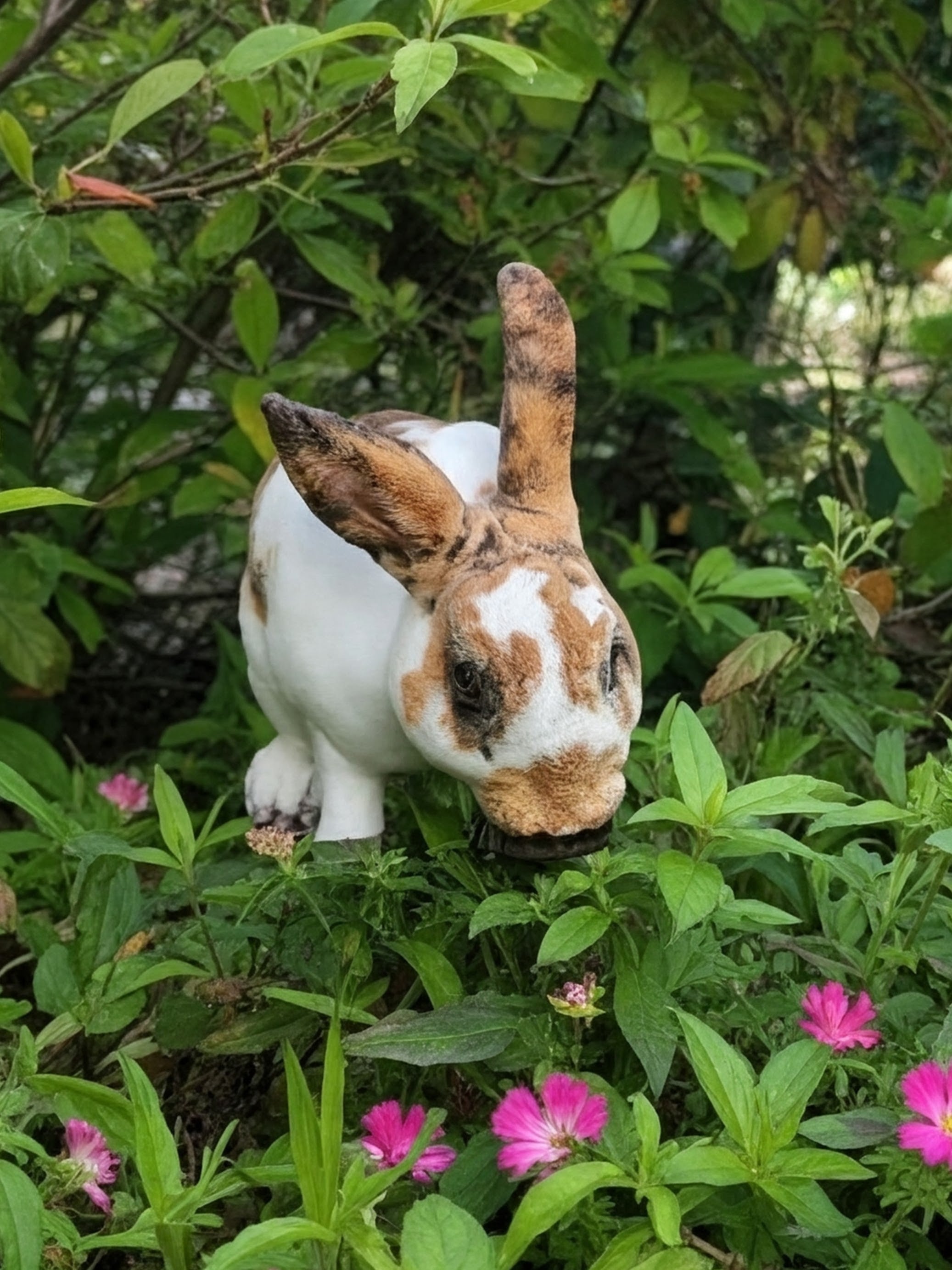 Hypoallergenic Bunny